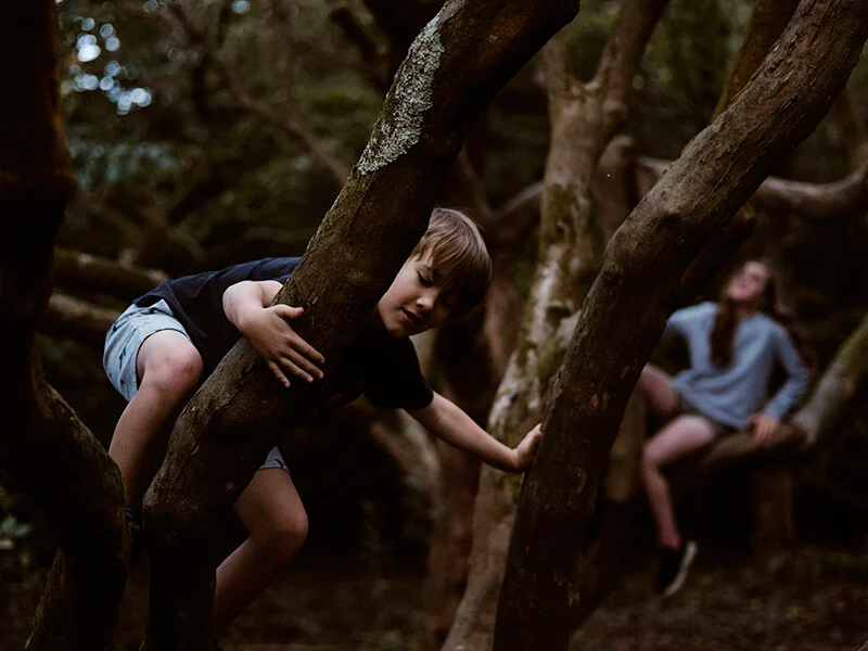 Bambini che si arrampicano su un albero